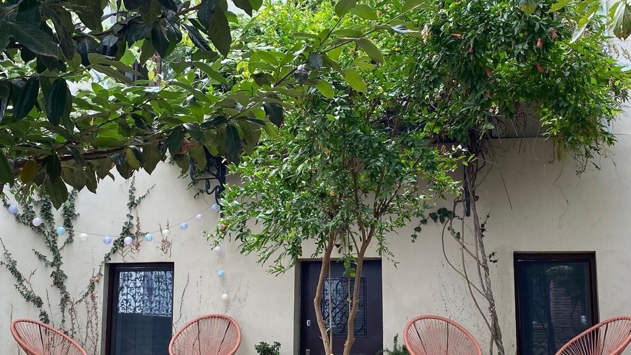 Photo of Patio Balcony in Telavi