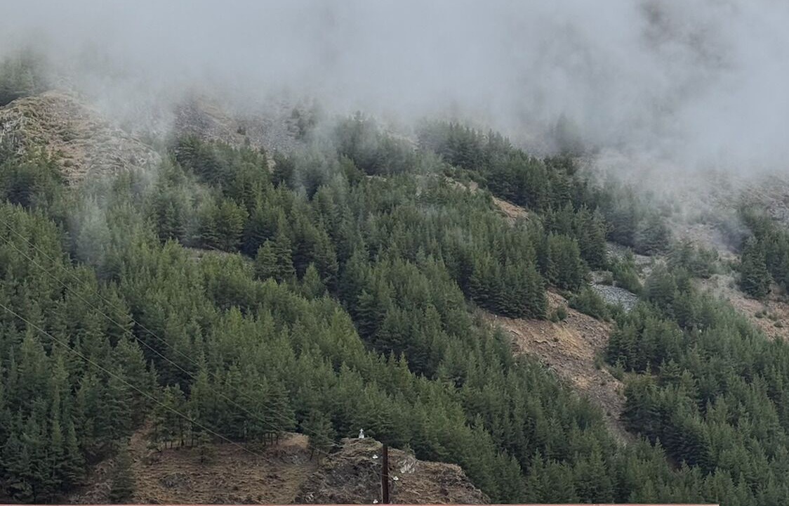 Photo of Outdoor in Kazbegi