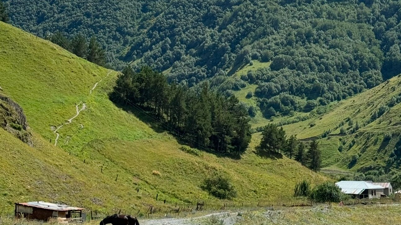 Photo of Others in Kazbegi