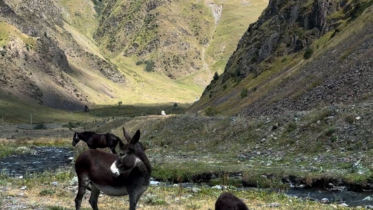 Photo of Others in Kazbegi