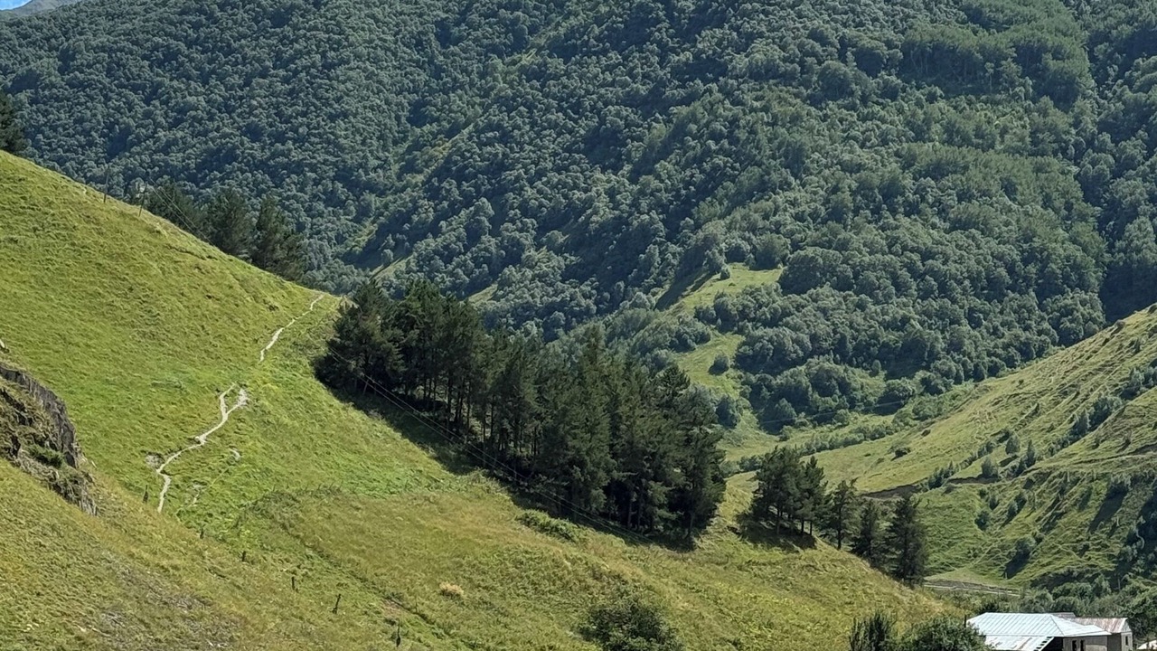 Photo of Others in Kazbegi