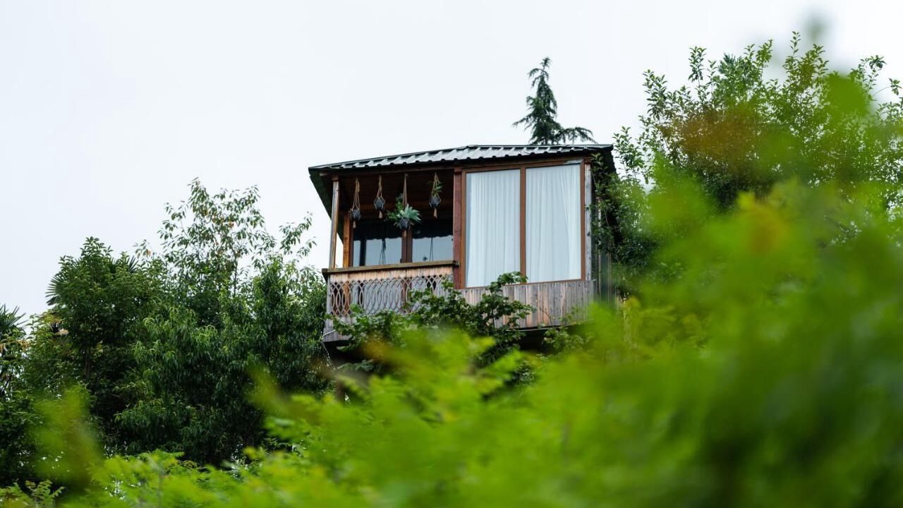 Photo of Outdoor in Khelvachauri
