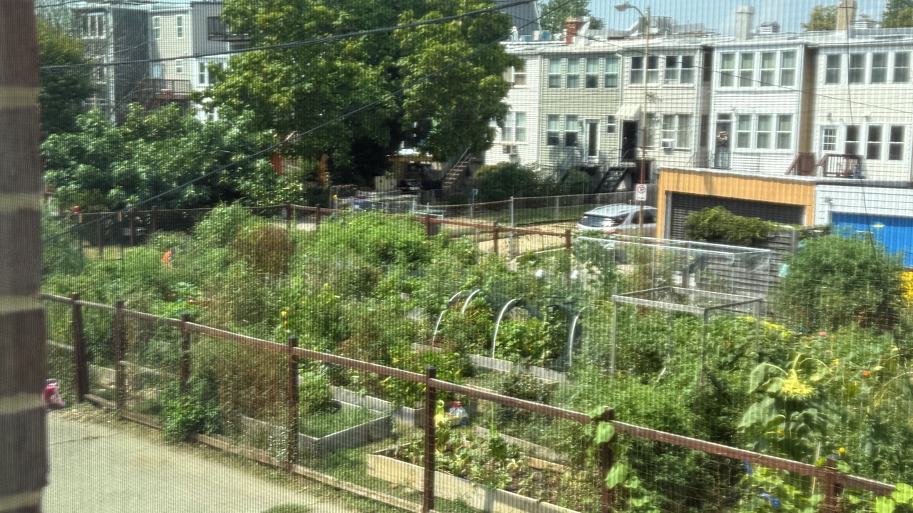 Photo of Outdoor in Hill East