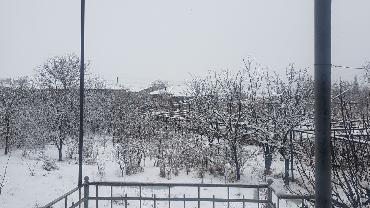 Photo of Outdoor in Didi Ateni