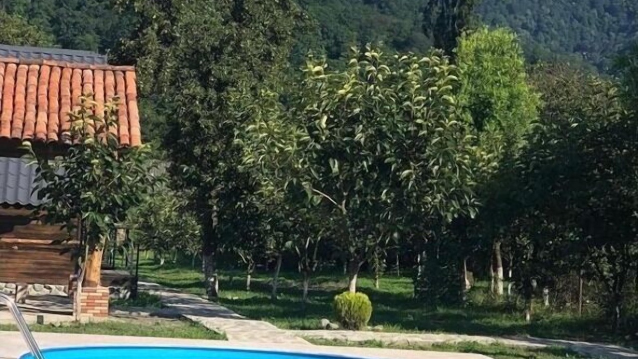 Photo of Outdoor in Lagodekhi