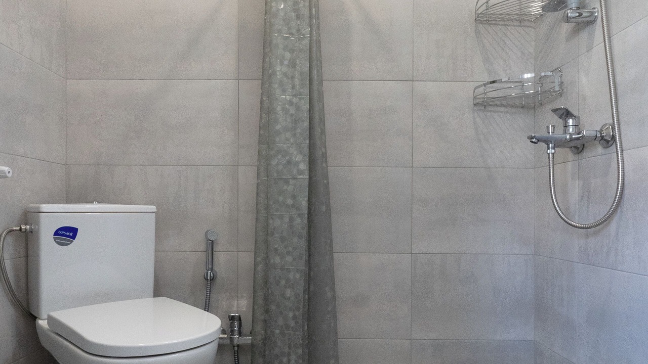Photo of Bathroom in Avlabari