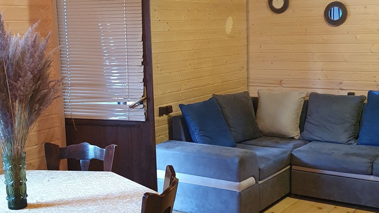 Photo of Livingroom in Bagvdanari