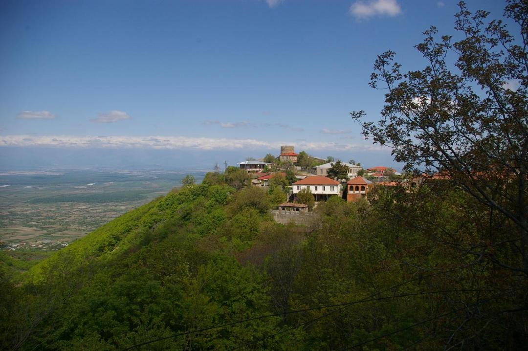Photo of Others in Sighnaghi