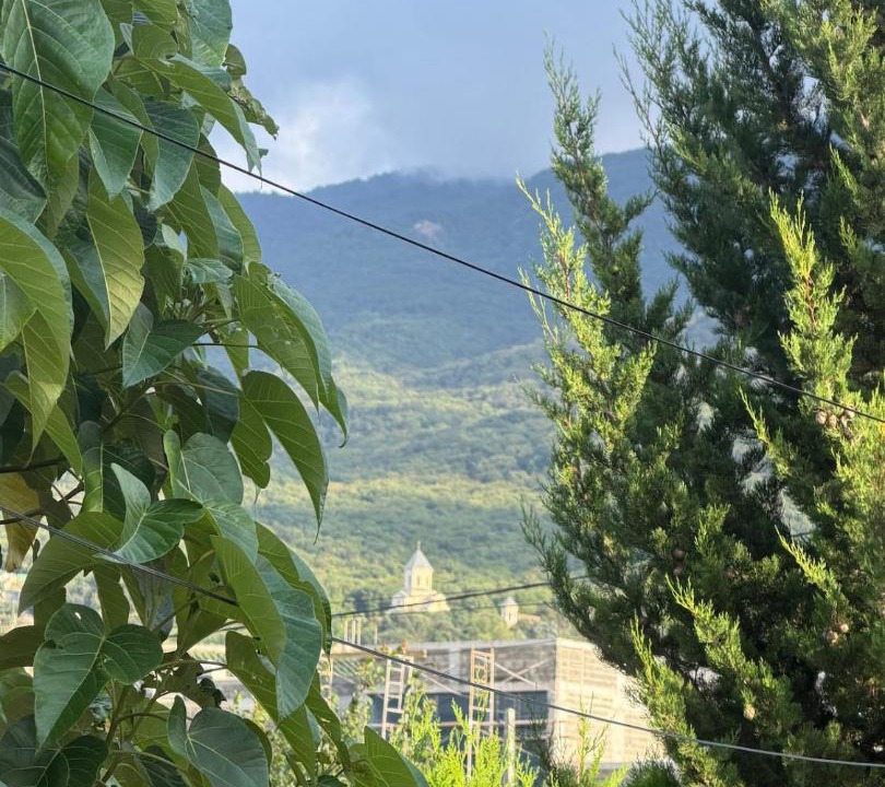 Photo of Others in Mtskheta