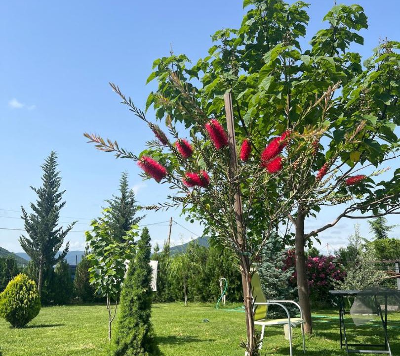 Photo of Outdoor in Mtskheta
