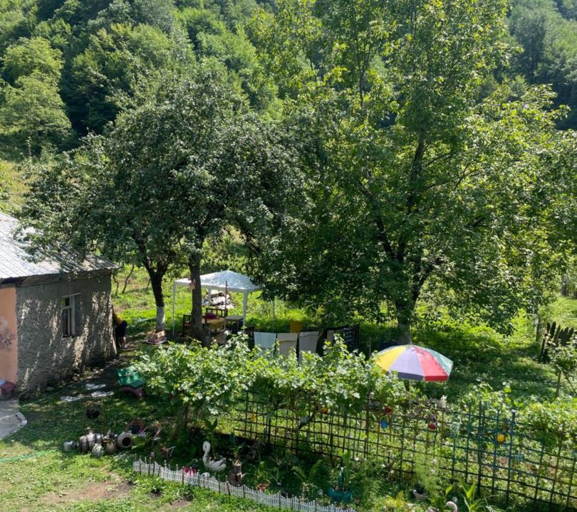 Photo of Outdoor in Lentekhi