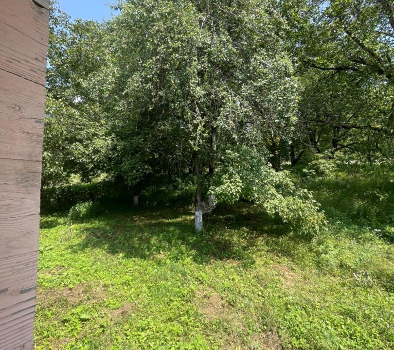 Photo of Others in Lentekhi