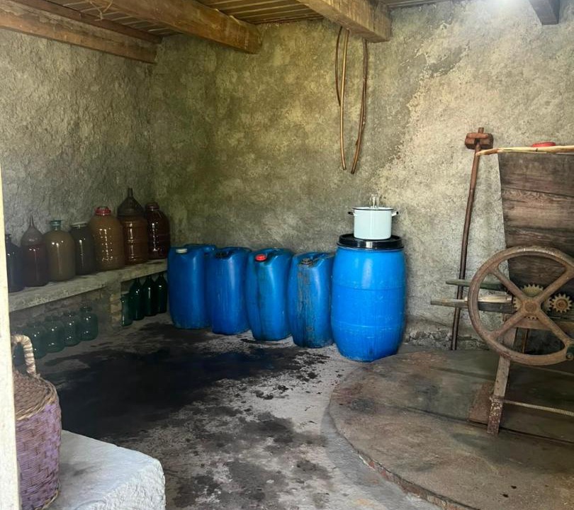 Photo of Others in Kvareli