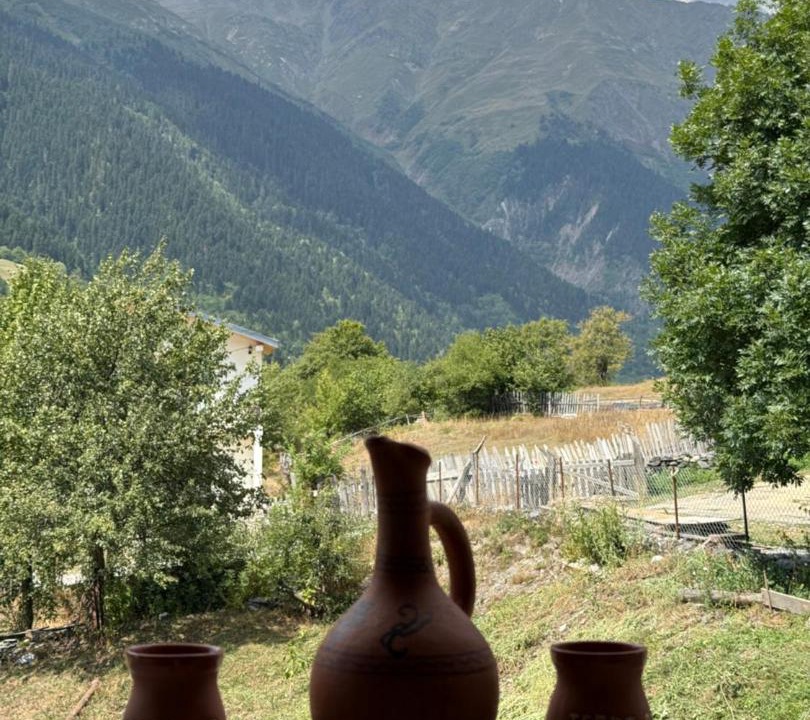 Photo of Others in Bagvdanari