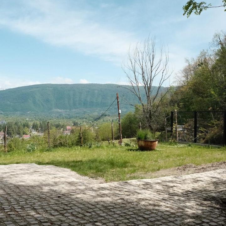 Photo of Others in Martivili