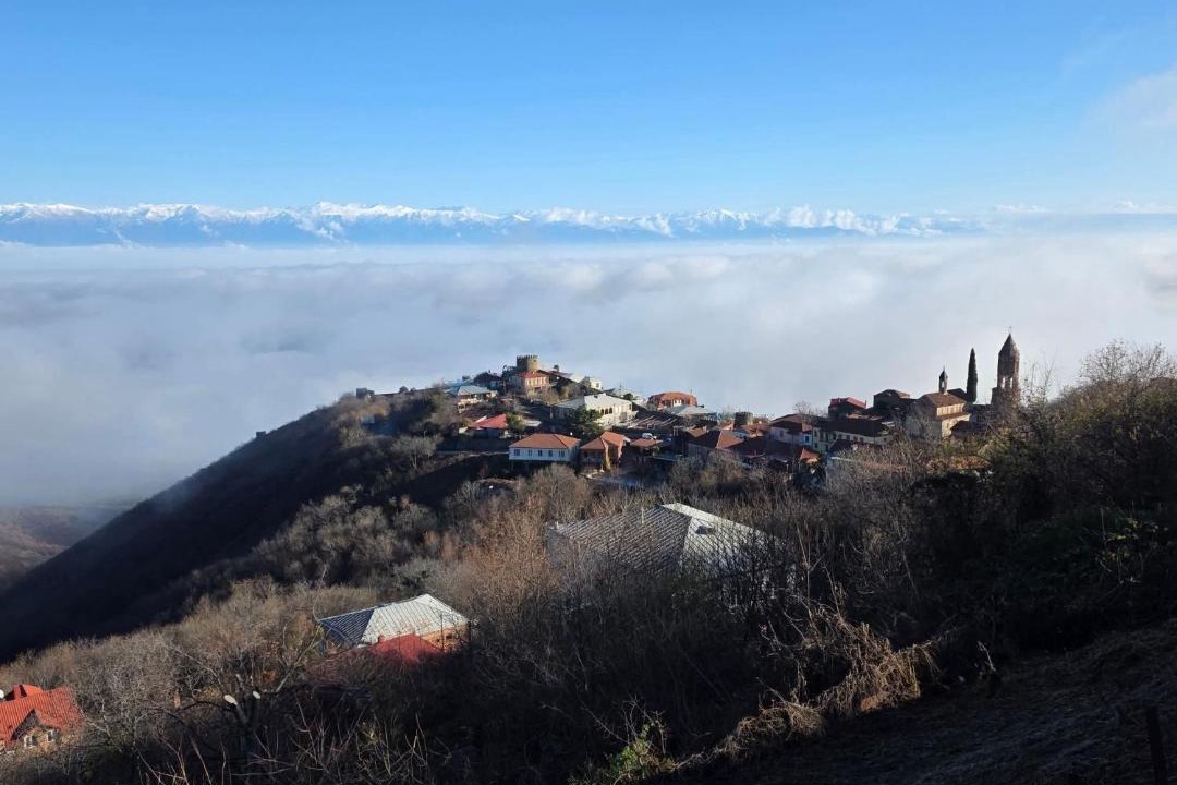 Photo of Others in Sighnaghi