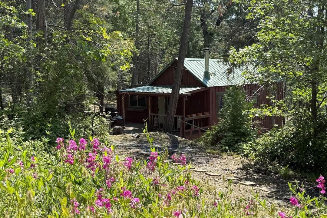 Photo of Others in Big Creek