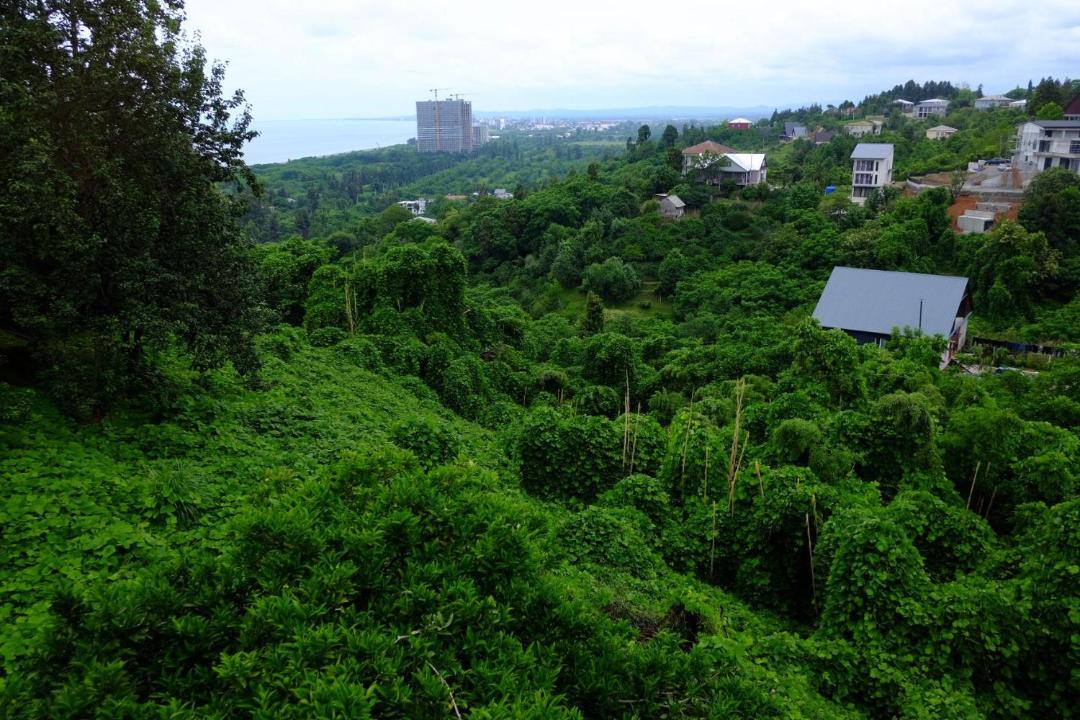 Photo of Others in Tsikhisdziri