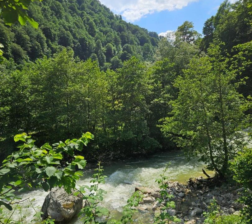 Photo of Others in Salkhino