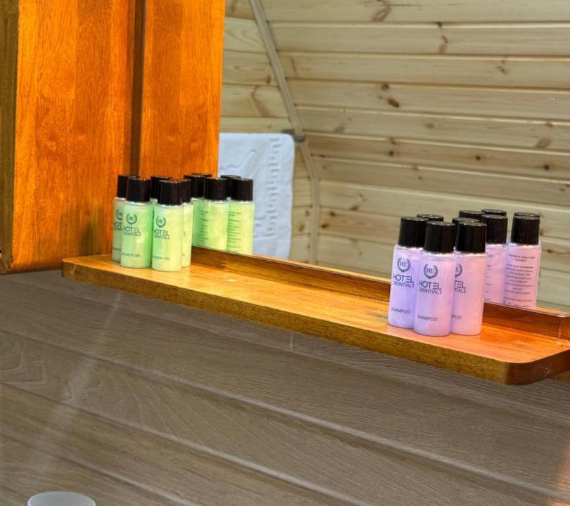 Photo of Bathroom in Bagvdanari
