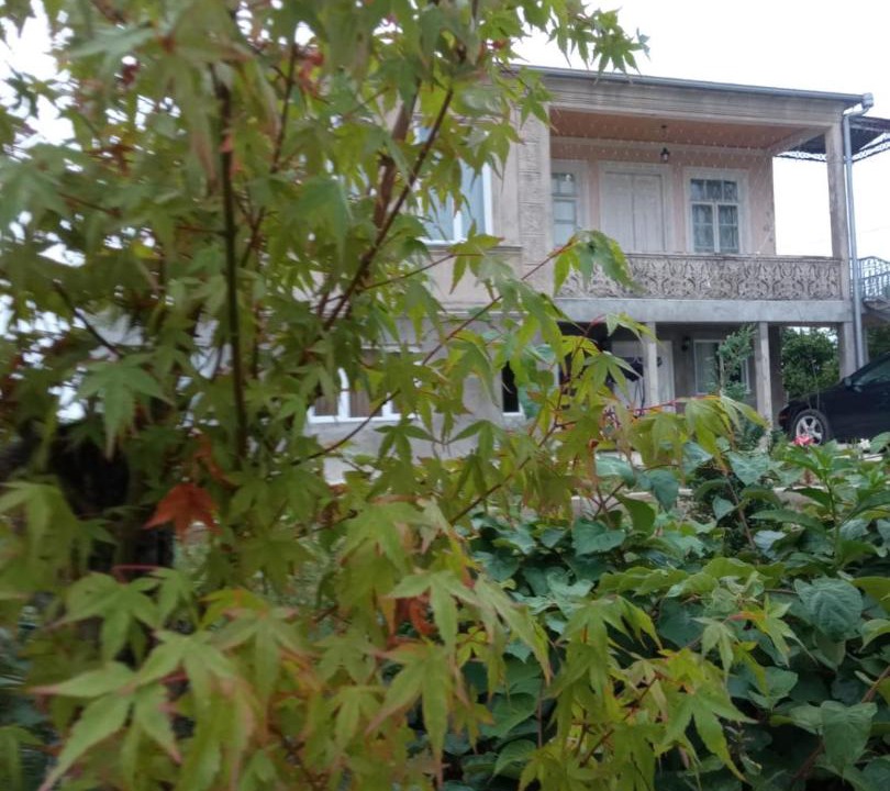 Photo of Others in Samegrelo-Zemo Svaneti
