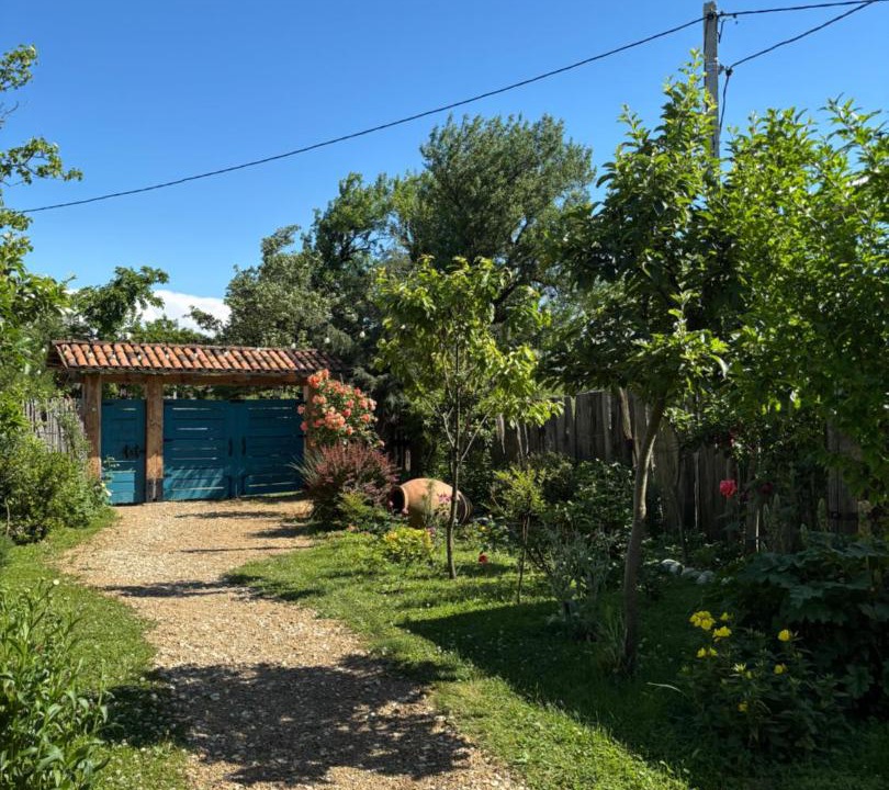 Photo of Others in Chiatura
