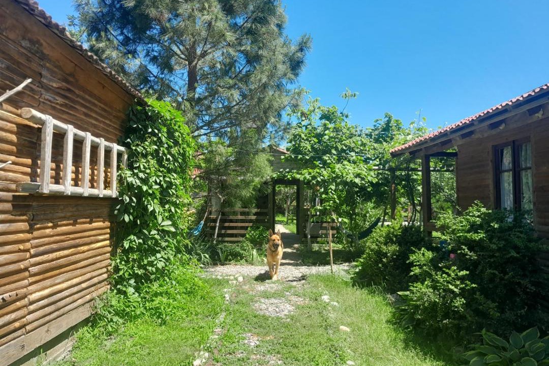 Photo of Others in Salkhino