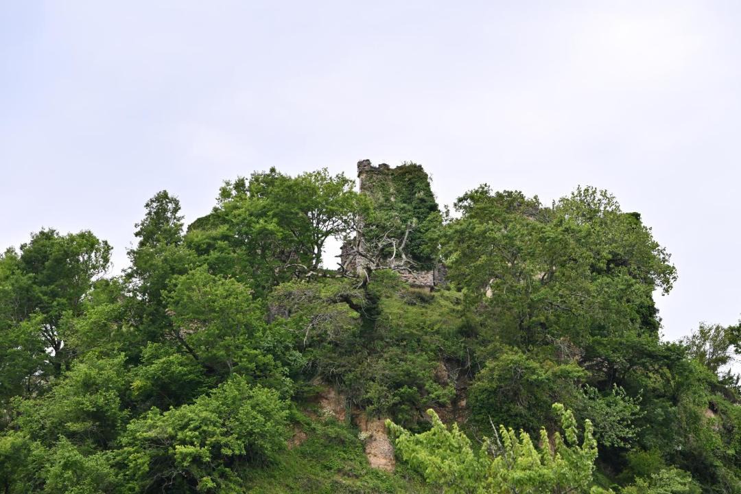 Photo of Others in Samegrelo-Zemo Svaneti