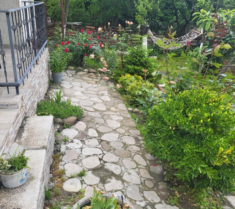 Photo of Others in Sighnaghi