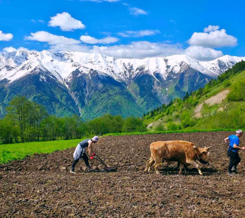Photo of Others in Mestia