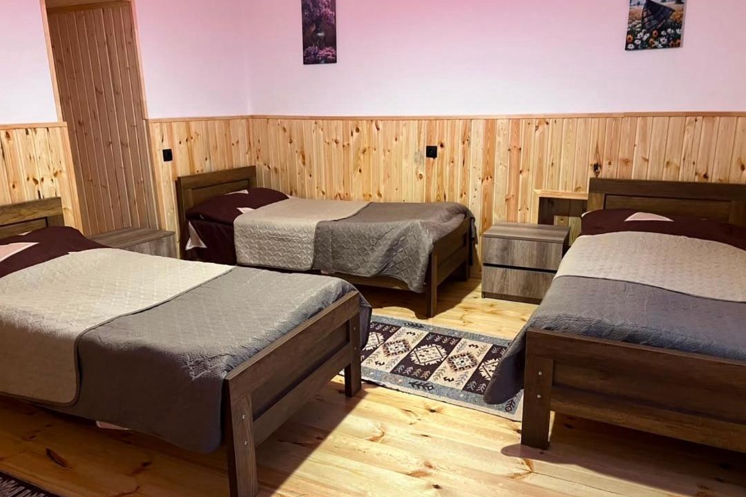 Photo of Bedroom in Roshka