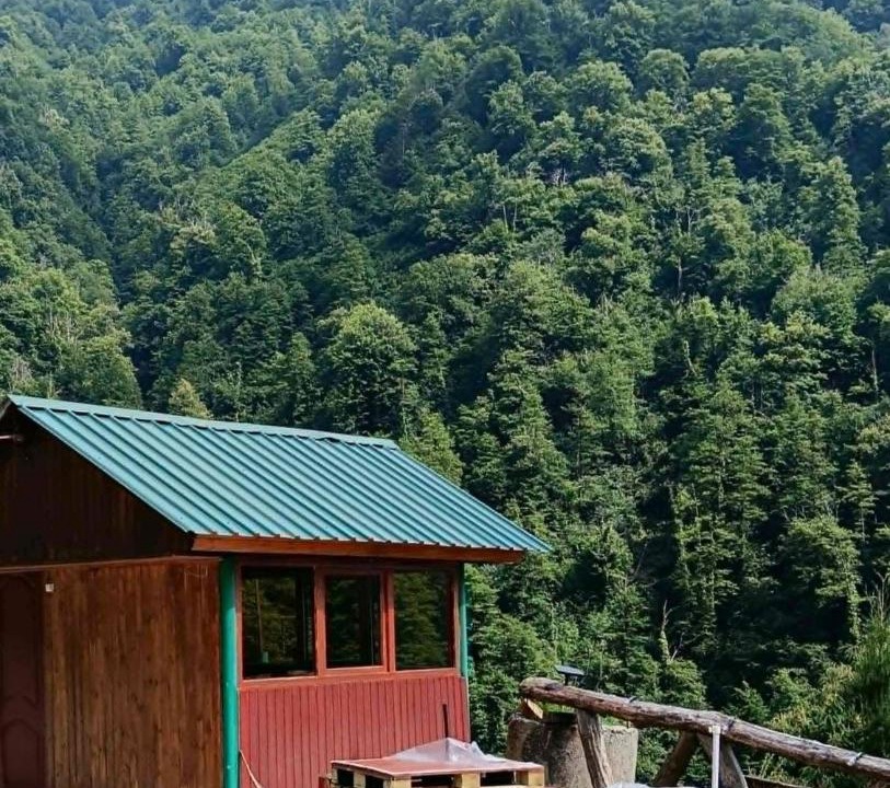 Photo of Others in Salkhino