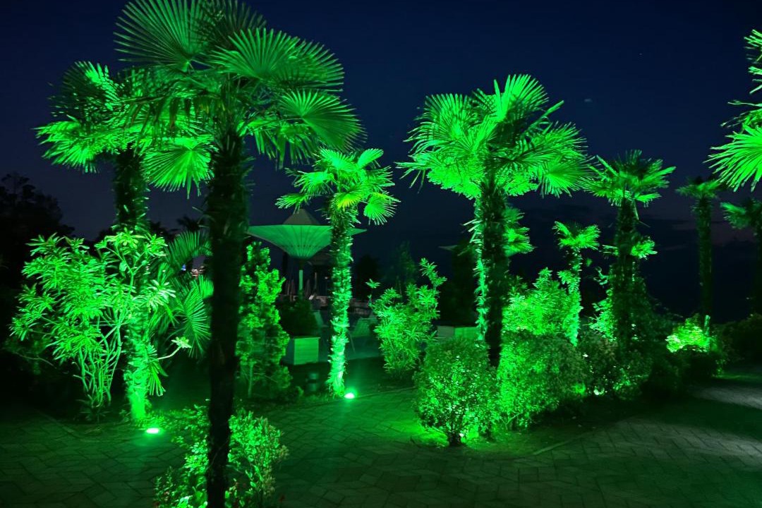Photo of Outdoor in Chakvi