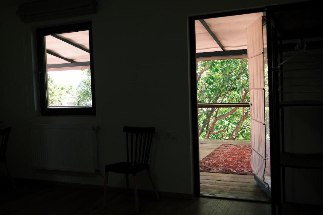 Photo of Others in Telavi