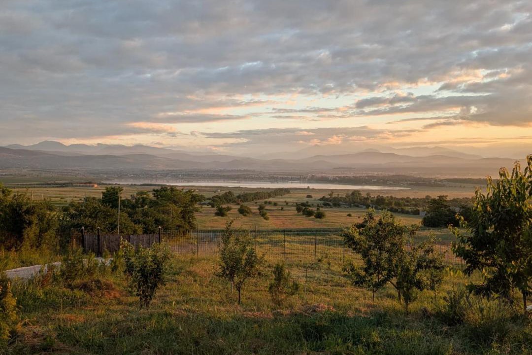 Photo of Others in Tsilkani