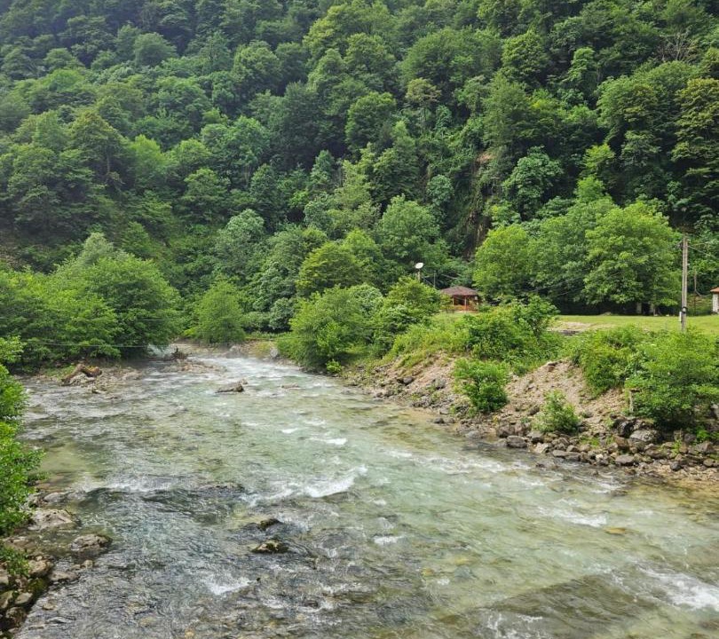 Photo of Others in Salkhino