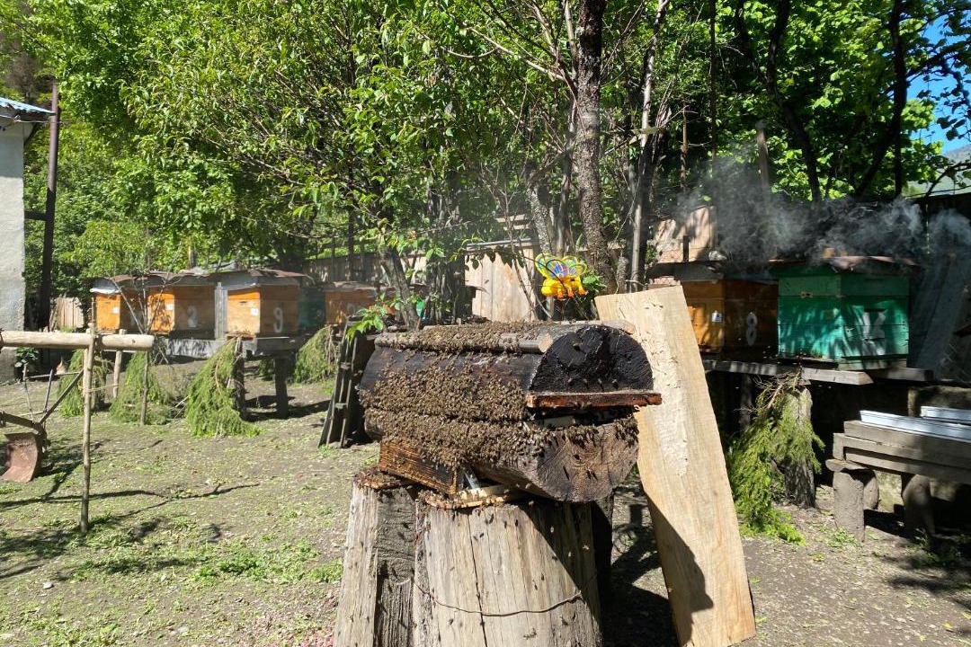 Photo of Others in Lentekhi