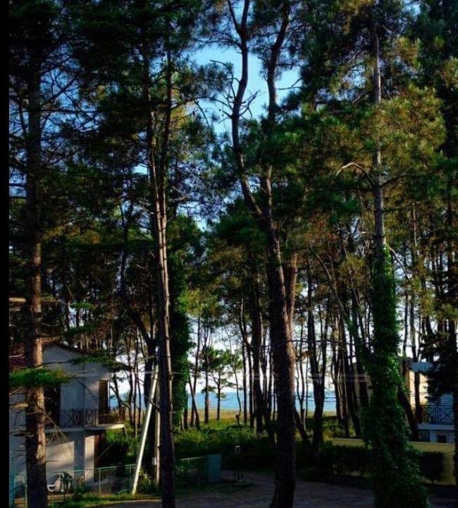 Photo of Others in Ureki