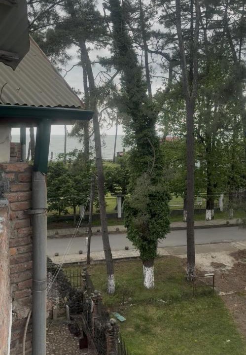 Photo of Others in Ureki