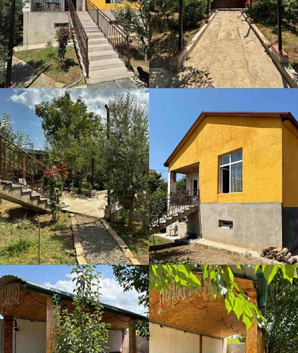 Photo of Others in Mtskheta