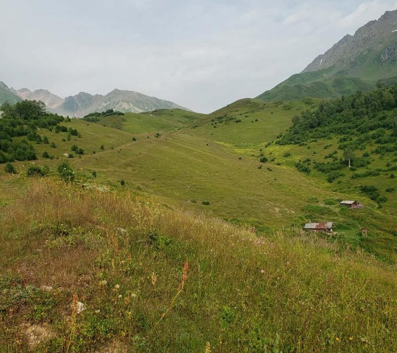 Photo of Others in Mestia