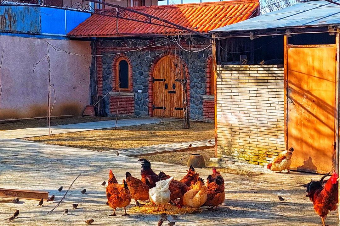 Photo of Others in Imereti