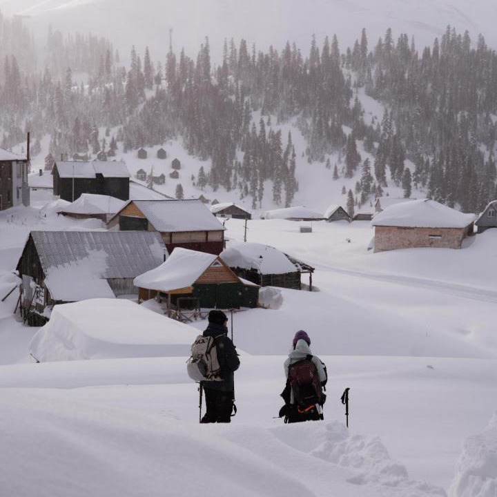 Photo of Others in Bakhmaro