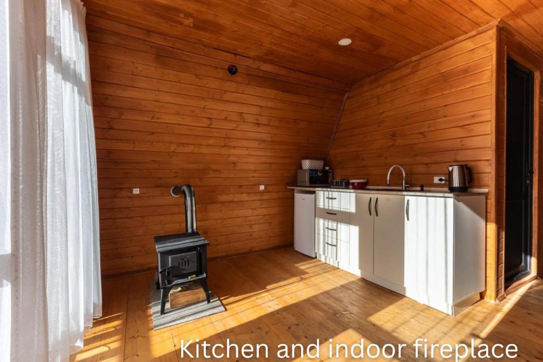 Photo of Kitchen in Bagvdanari