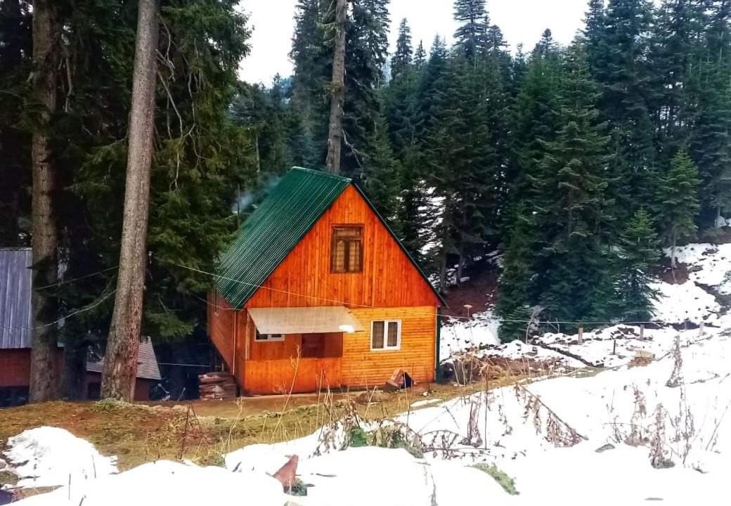 Photo of Others in Bakhmaro