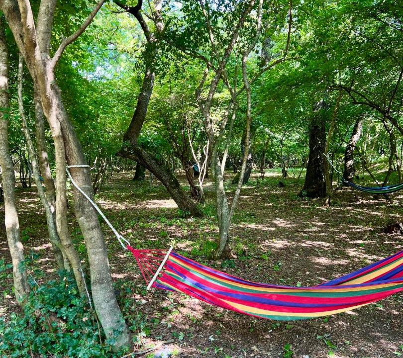 Photo of Outdoor in Imereti