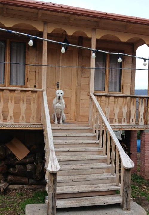 Photo of Others in Imereti