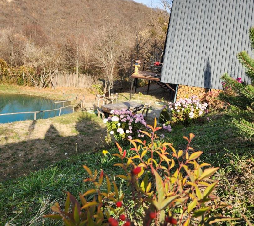 Photo of Others in Mtskheta