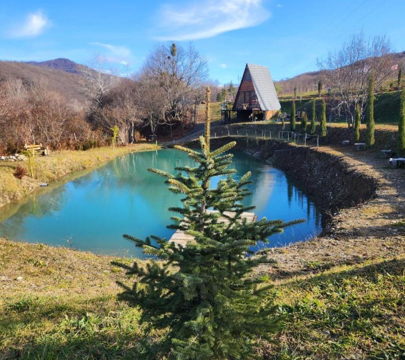 Photo of Others in Mtskheta