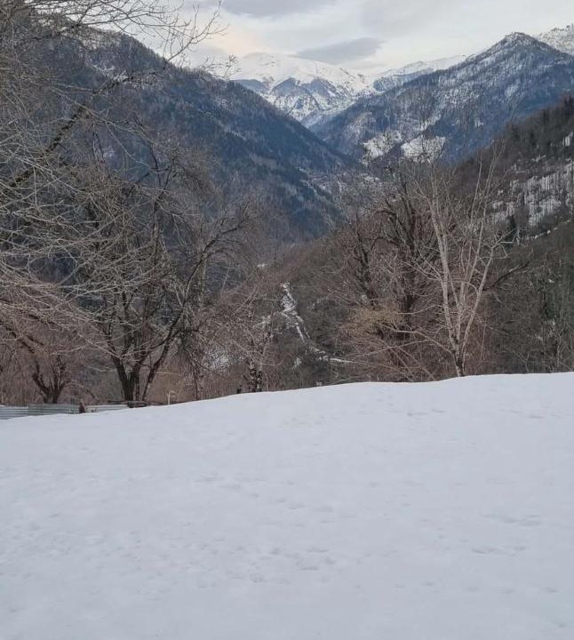 Photo of Others in Khelvachauri